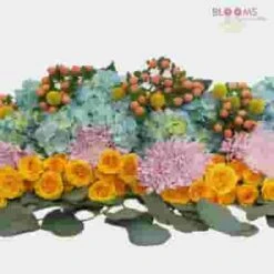 Sorbet Wedding Flower Pack -Flower Plants Sales 2024 07806B Sorbet Wedding Flower Pack