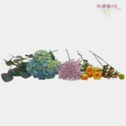 Sorbet Wedding Flower Pack -Flower Plants Sales 2024 07806C Sorbet Wedding Flower Pack
