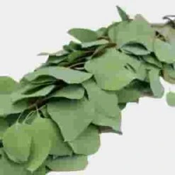 Specialty Greens Square Wreath 20 Inch -Flower Plants Sales 2024 07885C Speciality Greens Square Wreath 20 Inch