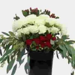 Blooms DIY Holiday Pack -Flower Plants Sales 2024 07893A Blooms Holiday Pack