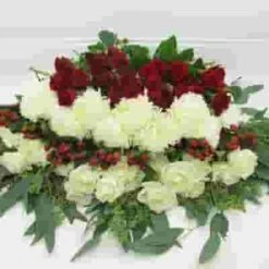 Blooms DIY Holiday Pack -Flower Plants Sales 2024 07893D Blooms Holiday Pack