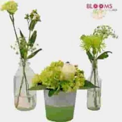 Pantone Greenery Flower Pack 10 Pantone Greenery Flower Pack -Flower Plants Sales 2024 07908C Pantone 2017 Greenery Pack