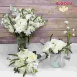 Artisan White DIY Wedding Flower Pack -Flower Plants Sales 2024 07979D Artisan White DIY Wedding Flower Pack