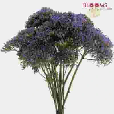 Purple Filler Flowers Bulk Pack 5 Purple Filler Flowers Bulk Pack - Image 3