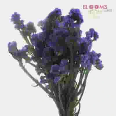 Purple Filler Flowers Bulk Pack 3 Purple Filler Flowers Bulk Pack