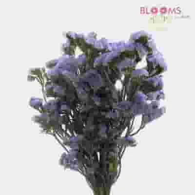 Purple Filler Flowers Bulk Pack 4 Purple Filler Flowers Bulk Pack - Image 2