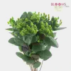 Green Filler Flowers Bulk Pack -Flower Plants Sales 2024 07983C Green Fillers Bulk Pack