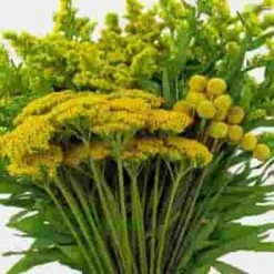 Yellow Filler Flowers Bulk Pack