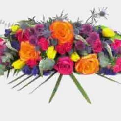 Oasis Desert Flower Pack 12 Oasis Desert Flower Pack -Flower Plants Sales 2024 09006A Desert Oasis Pack