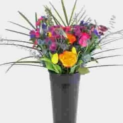 Oasis Desert Flower Pack 10 Oasis Desert Flower Pack -Flower Plants Sales 2024 09006C Desert Oasis Pack