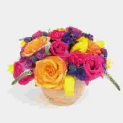 Oasis Desert Flower Pack 11 Oasis Desert Flower Pack -Flower Plants Sales 2024 09006D Desert Oasis Pack