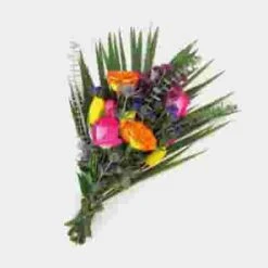 Oasis Desert Flower Pack 13 Oasis Desert Flower Pack -Flower Plants Sales 2024 09006E Desert Oasis Pack