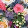 Sunset Desert Wedding Flower Pack -Flower Plants Sales 2024 09007F Sunset Desert Wedding Flower Pack