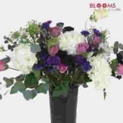 Pantone Ultra Violet Flower Pack -Flower Plants Sales 2024 09020B Pantone 2018 Colors Pack