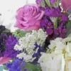 Pantone Ultra Violet Flower Pack -Flower Plants Sales 2024 09020E Pantone Ultra Violet Flowers Pack