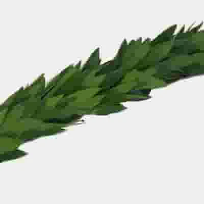 Garland Single Green - 20 Feet 4 Garland Single Green - 20 Feet - Image 2