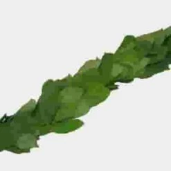 Garland Three Greens - 20 Feet -Flower Plants Sales 2024 09149F Garland Three Greens 20 Feet