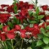 Rose Bouquet 12 Stem - Red Freedom 50 Cm -Flower Plants Sales 2024 09176B Rose Bouquet 12 Stem Red Freedom 50cm