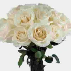Rose Bouquet 12 Stem - White Vendela 50 Cm