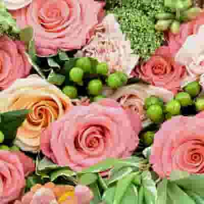 Pantone Living Coral Flower Pack 3 Pantone Living Coral Flower Pack