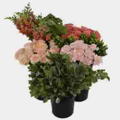 Pantone Living Coral Flower Pack 4 Pantone Living Coral Flower Pack - Image 2