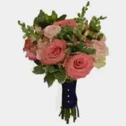 Pantone Living Coral Flower Pack 7 Pantone Living Coral Flower Pack -Flower Plants Sales 2024 09212C Pantone Living Coral Pack