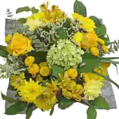 Mixed Bouquet 23 Stem - Sunny Window 3 Mixed Bouquet 23 Stem - Sunny Window