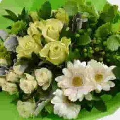 Premium Gift Bouquet - Green Treat -Flower Plants Sales 2024 09248A Premium Gift Bouquet Green Treat