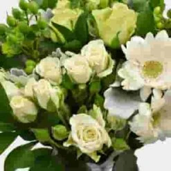 Premium Gift Bouquet - Green Treat -Flower Plants Sales 2024 09248C Premium Gift Bouquet Green Treat