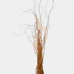 Curly Willow Tips Assorted Bulk