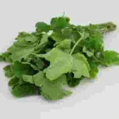 Assorted Herbs Bulk 10 Assorted Herbs Bulk -Flower Plants Sales 2024 09261C Assorted Herbs Bulk