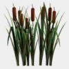 Cattails - Bulk -Flower Plants Sales 2024 09340A Cattails Bulk