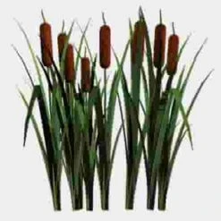 Cattails - Bulk