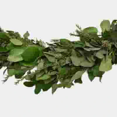 Garland Seeded Eucalyptus & Ruscus & Lemon - 8 Feet 3 Garland Seeded Eucalyptus & Ruscus & Lemon - 8 Feet
