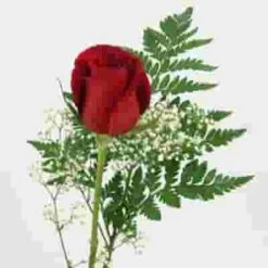 Rose Bouquet 1 Stem - Red Freedom 50 Cm