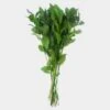 Israeli Ruscus Green -Flower Plants Sales 2024 09445A Ruscus Green Israel 10stms