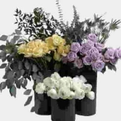 Blooms Very Peri Pantone Pack 10 Blooms Very Peri Pantone Pack -Flower Plants Sales 2024 09516E Blooms Very Peri Pantone Pack