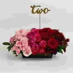 Pantone Viva Magenta Flower Pack -Flower Plants Sales 2024 09603D Pantone Viva Magenta Flower Pack