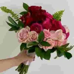 Pantone Viva Magenta Flower Pack -Flower Plants Sales 2024 09603E Pantone Viva Magenta Flower Pack