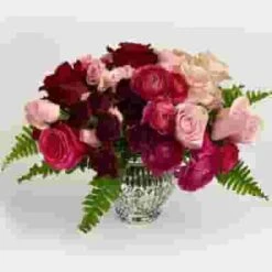 Pantone Viva Magenta Flower Pack -Flower Plants Sales 2024 09603F Pantone Viva Magenta Flower Pack